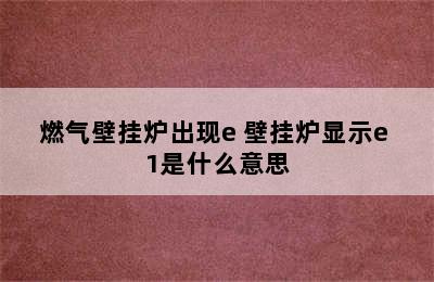 燃气壁挂炉出现e 壁挂炉显示e 1是什么意思